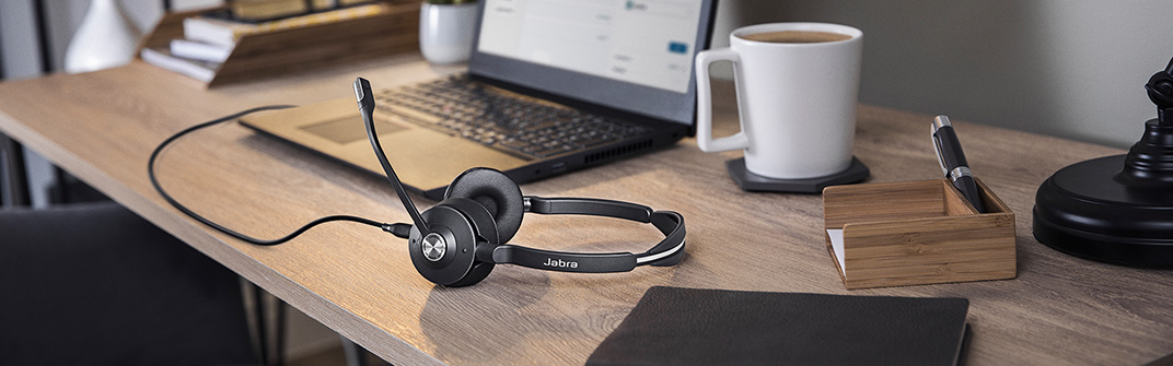 Working from Home Headset